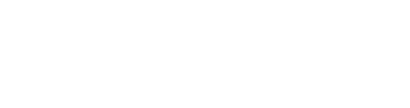 STG_LOGO_HOR_WHITE-01.png